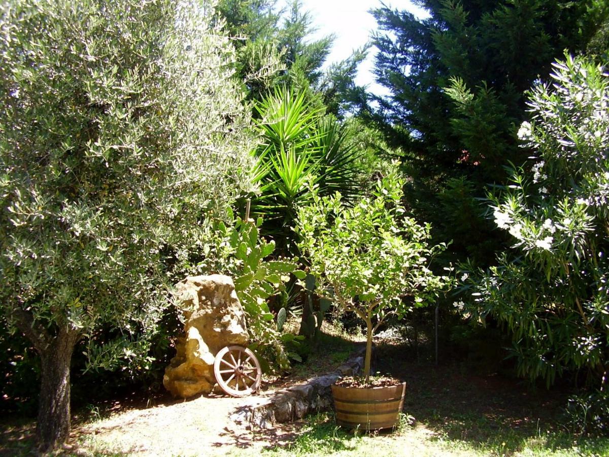 Podere Belvedere Cecina Cecina  Buitenkant foto