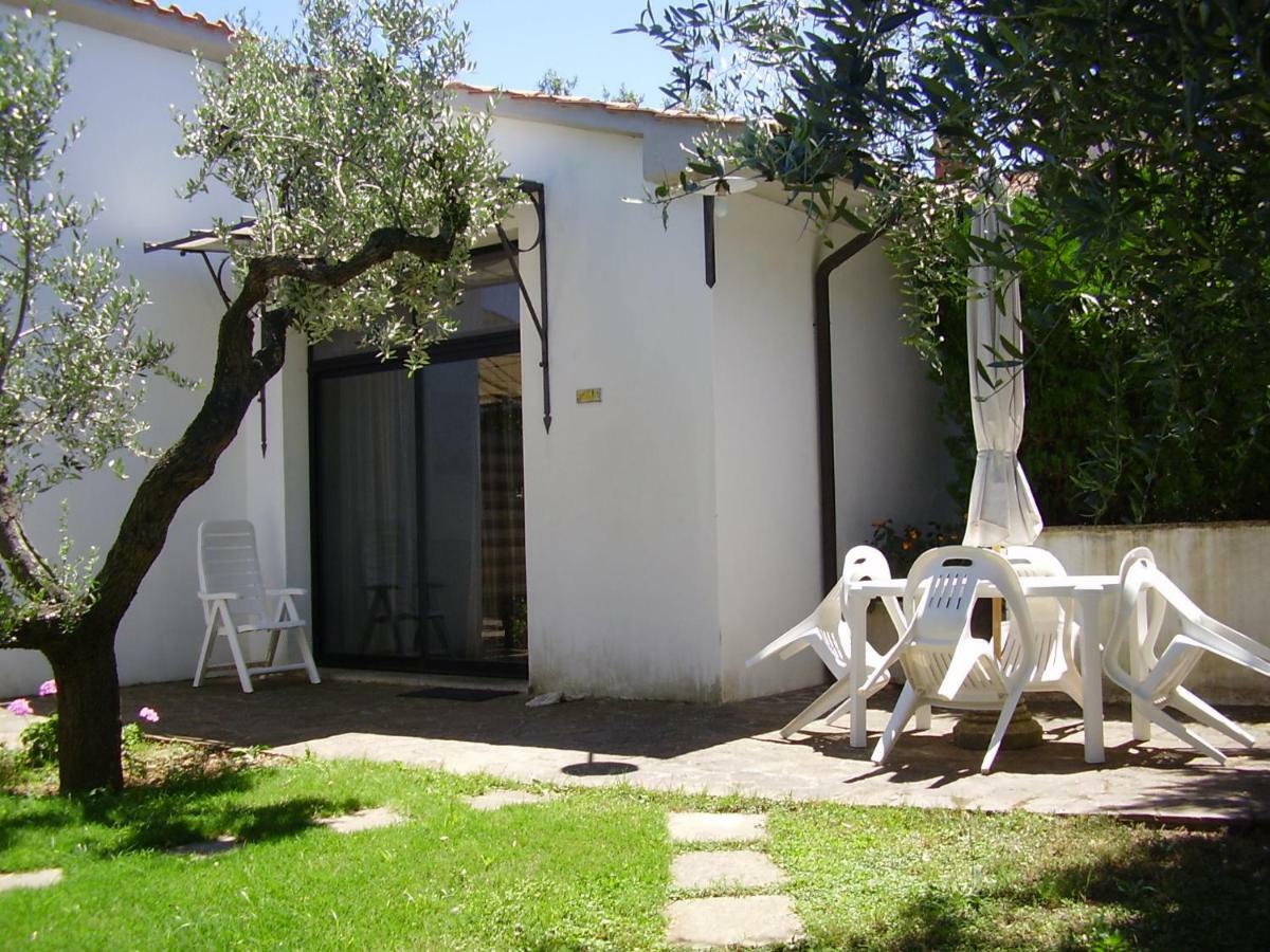 Podere Belvedere Cecina Cecina  Buitenkant foto