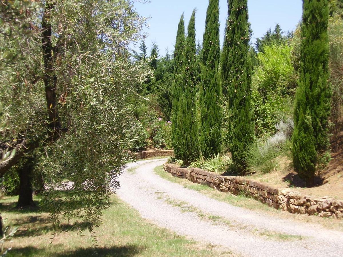 Podere Belvedere Cecina Cecina  Buitenkant foto