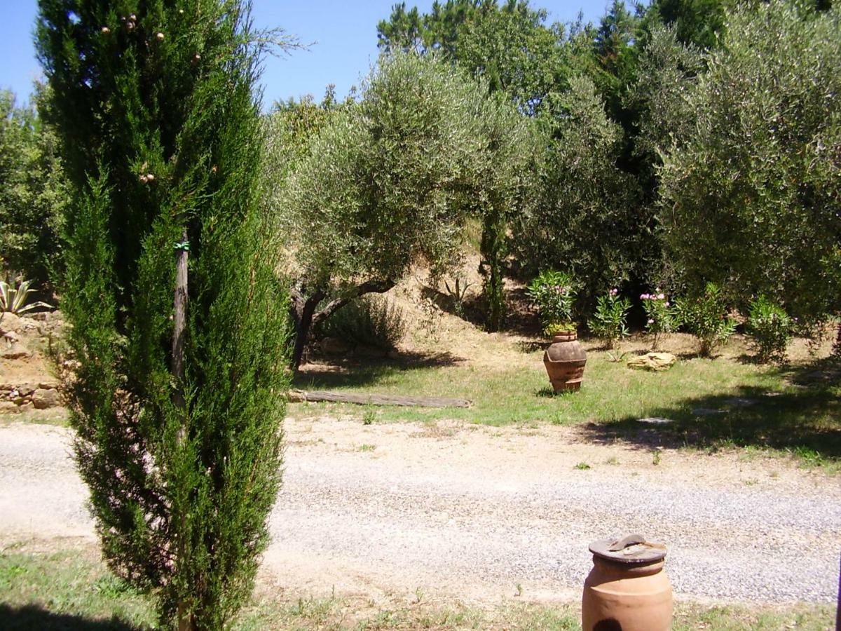 Podere Belvedere Cecina Cecina  Buitenkant foto